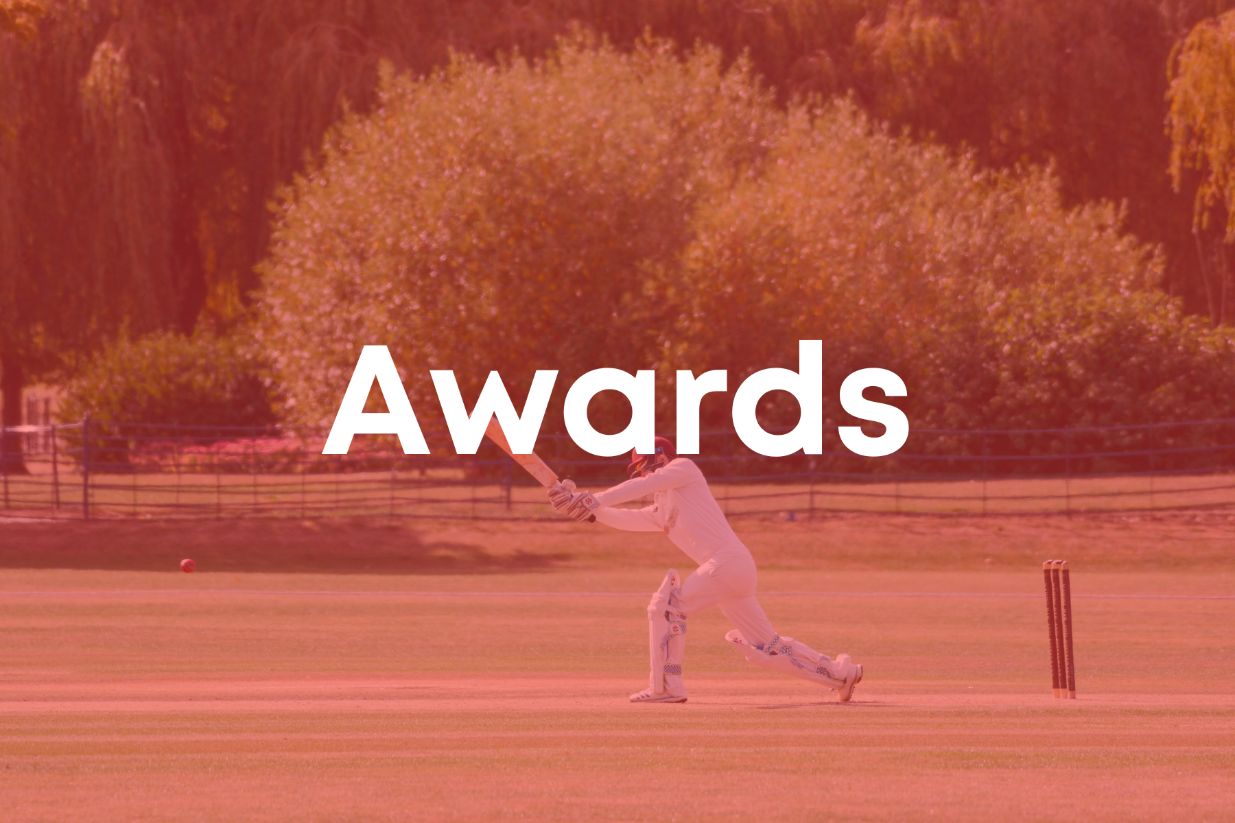 3 awards warrandyte cricket club